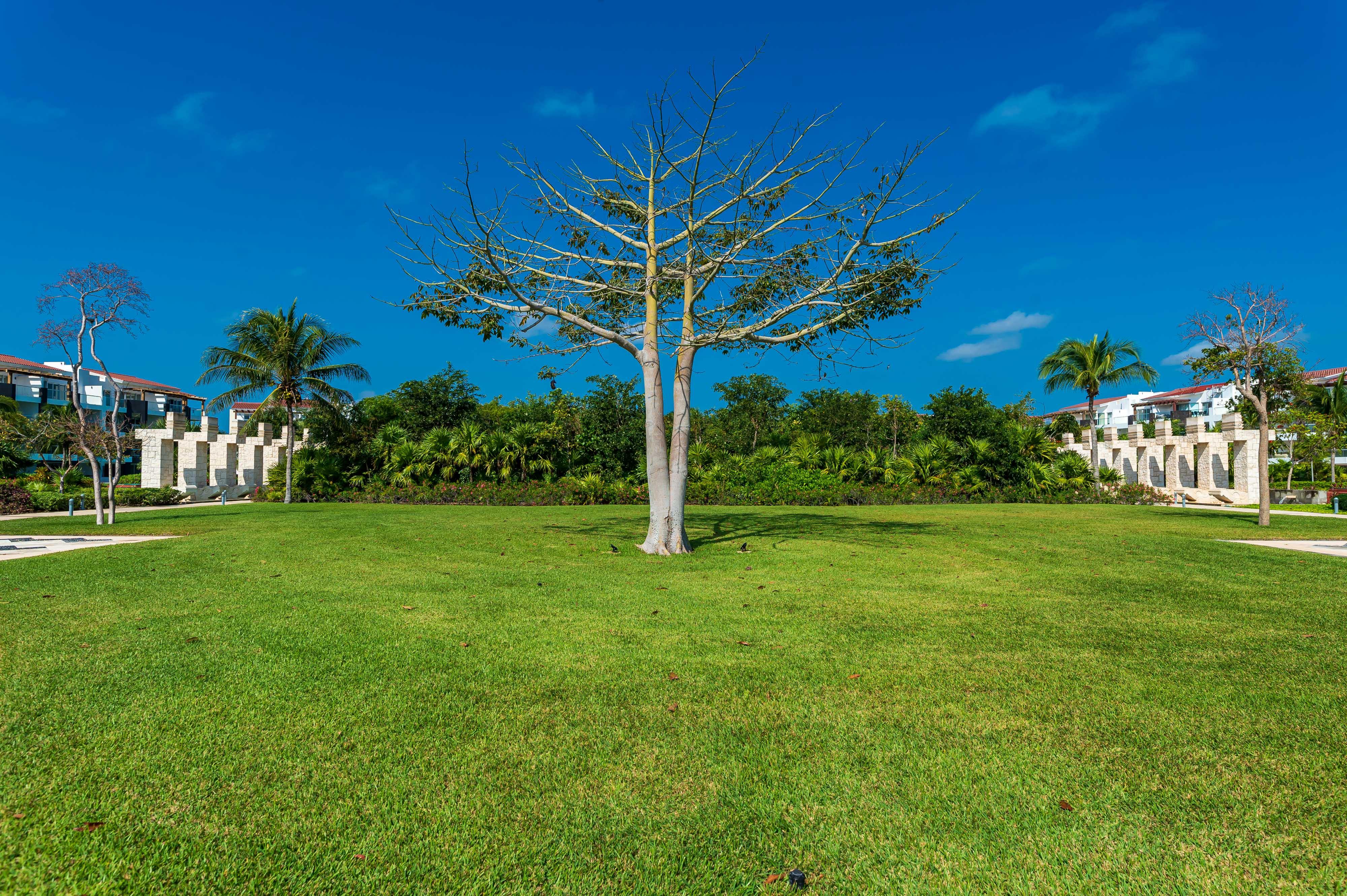 Mareazul Beach Front Resort Playa Del Carmen Exterior photo
